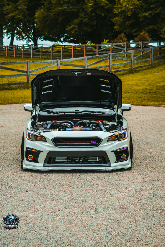 Filabel  H's 2019 WRX STI
