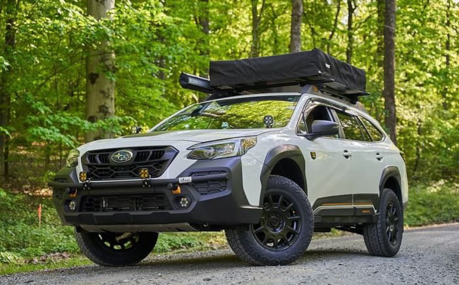 Sal Alfano's 2024 Outback Wilderness
