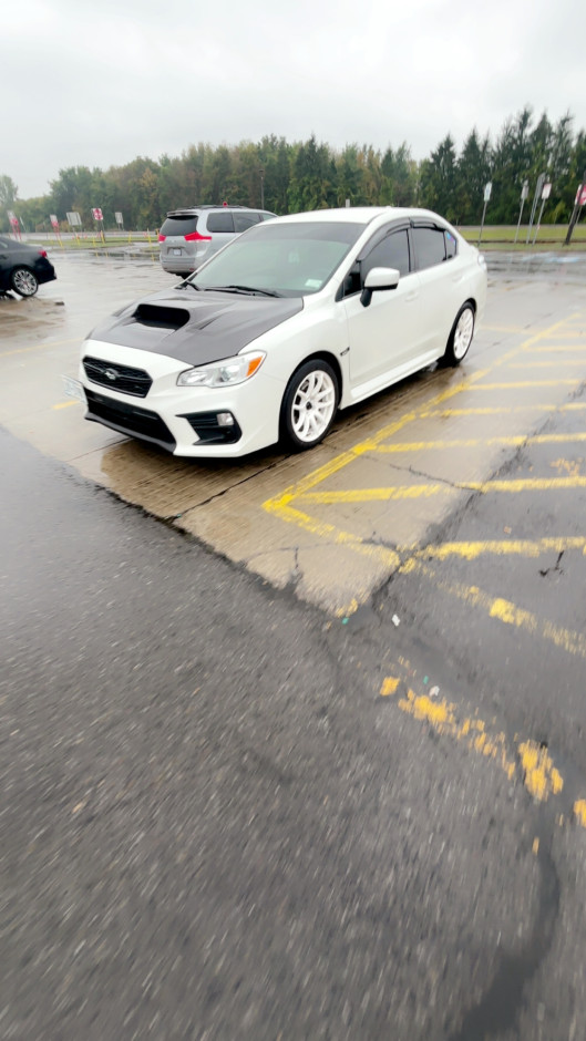 Dominic S's 2019 WRX