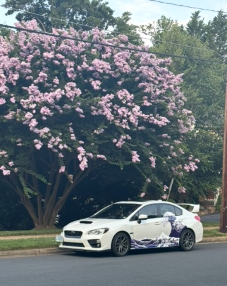 Angelina Pearce's 2015 Impreza WRX Limited 