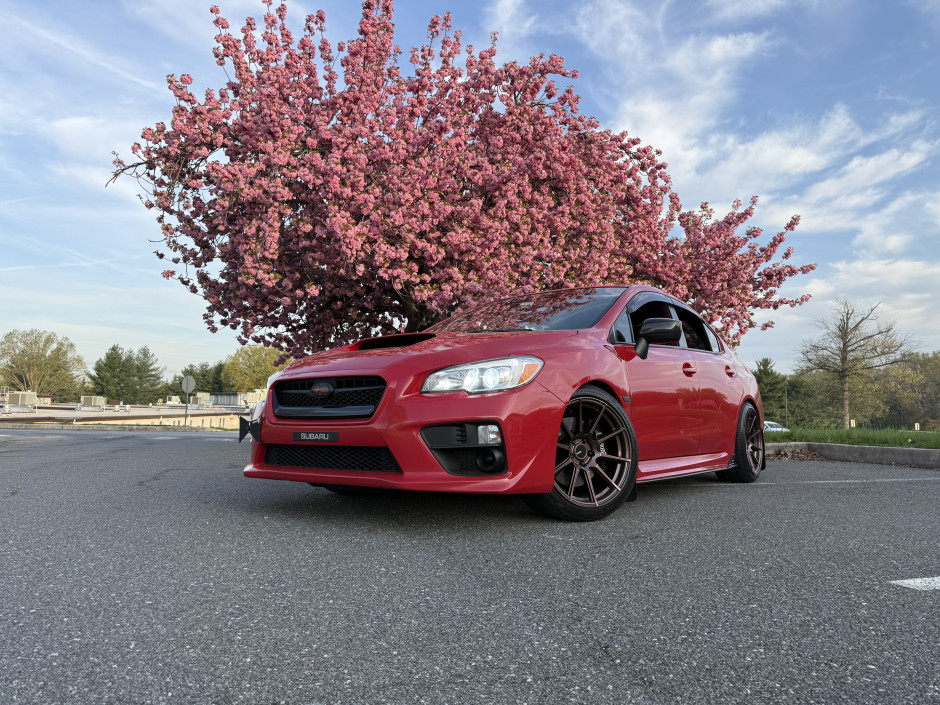 Terry P's 2017 WRX Limited
