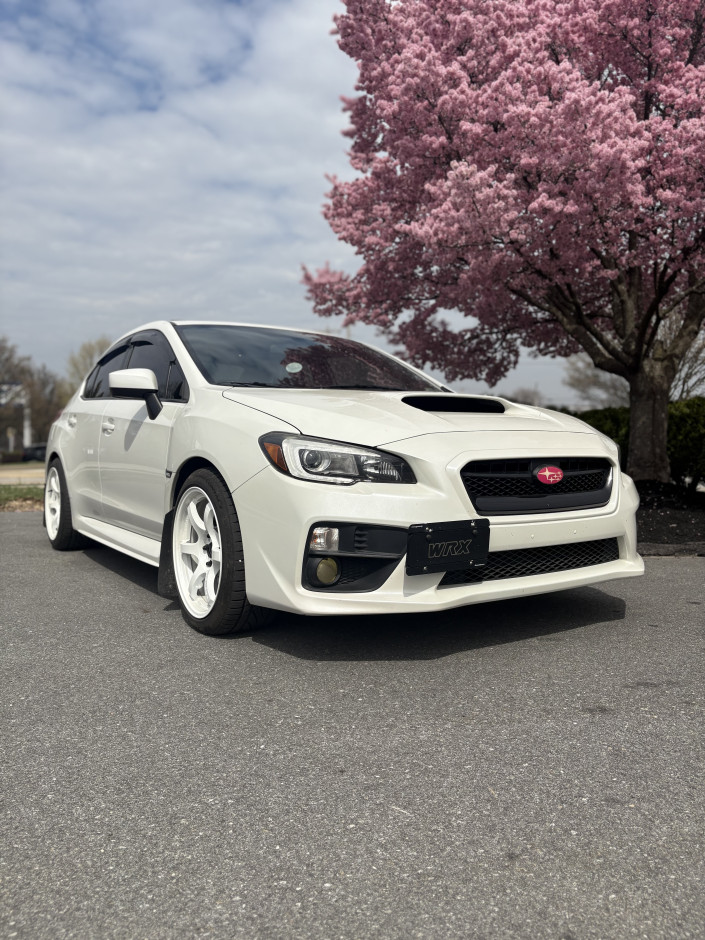 Carly T's 2015 WRX Limited
