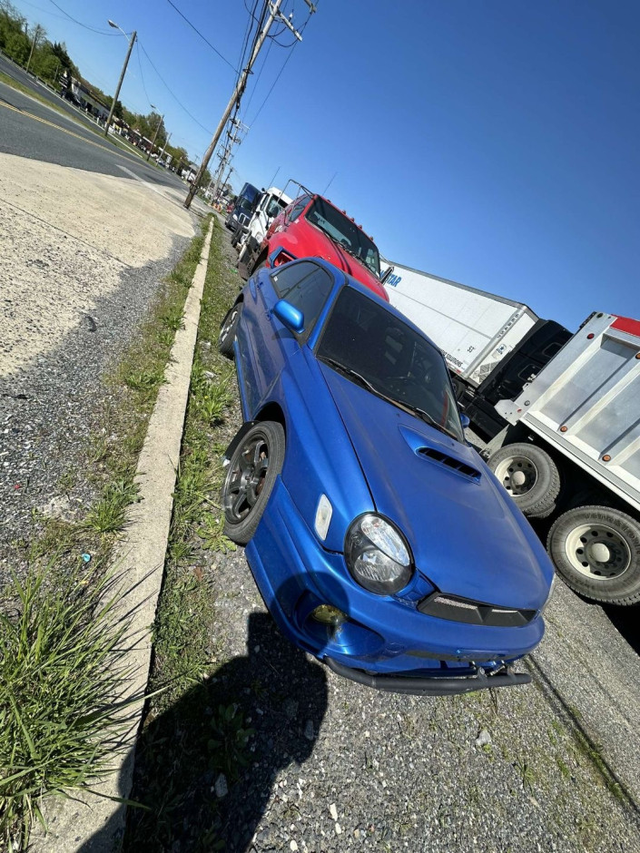 Aiyana L's 2002 Impreza WRX