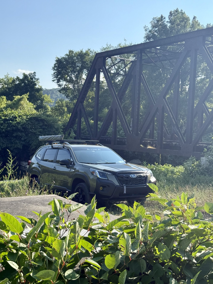 Joshua W's 2024 Forester Wilderness