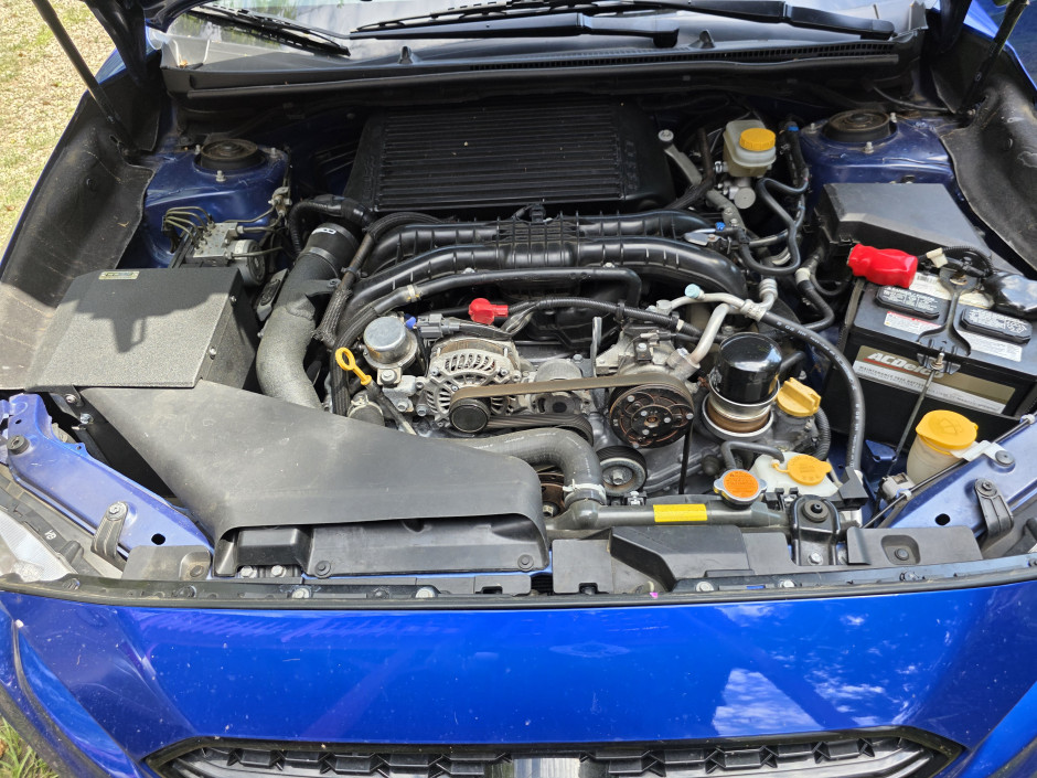 Christopher H's 2019 Impreza WRX Base
