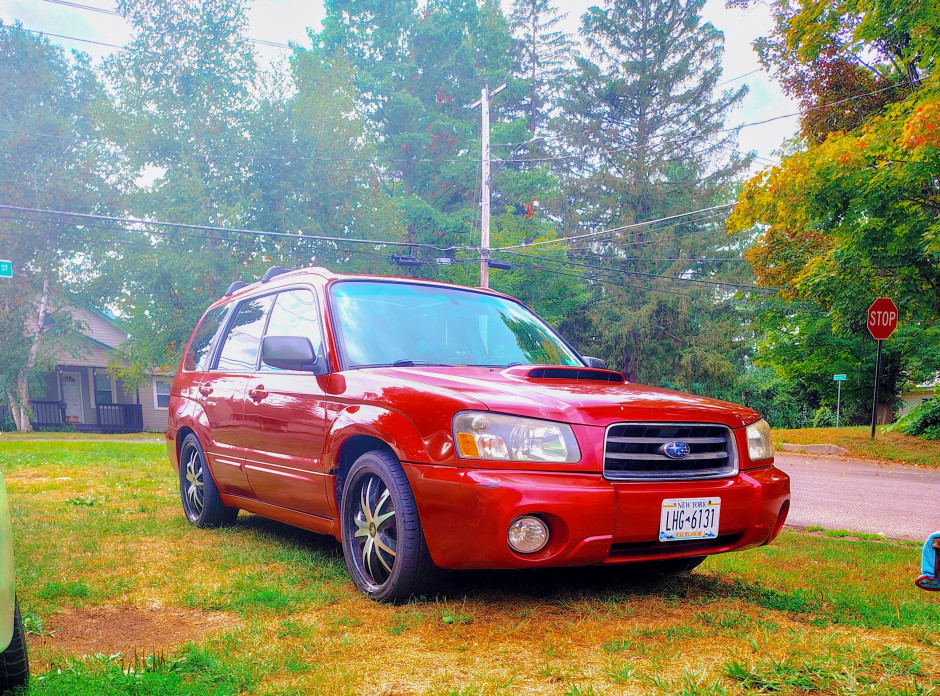Emily D's 2005 Forester 2.5XT