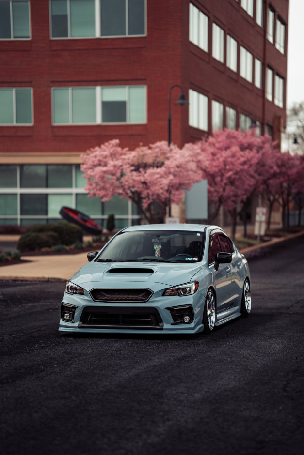 Madison Z's 2019 Impreza WRX Limited