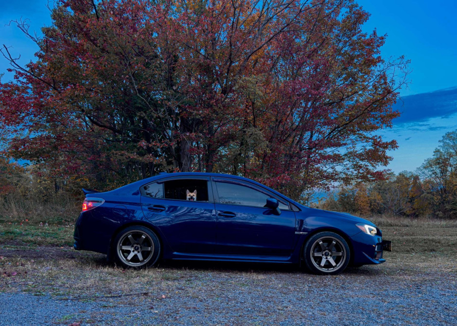 Andrew Golik's 2017 Impreza WRX Premium