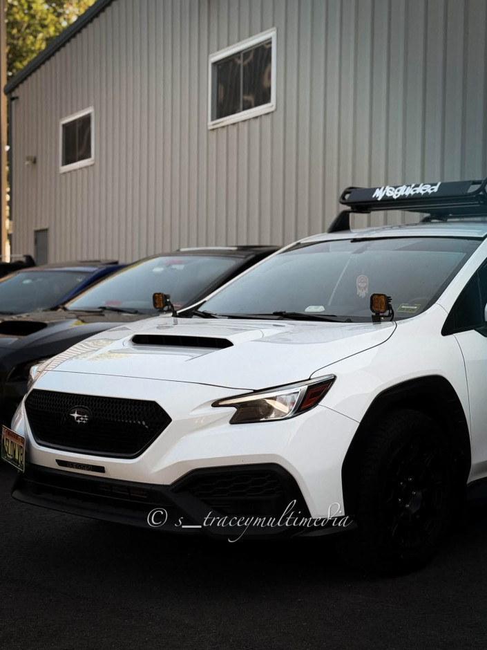 Cain Ferreira's 2023 WRX