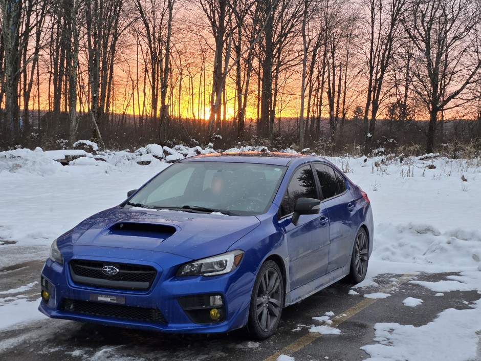 Fred Means's 2016 Impreza WRX Premium 