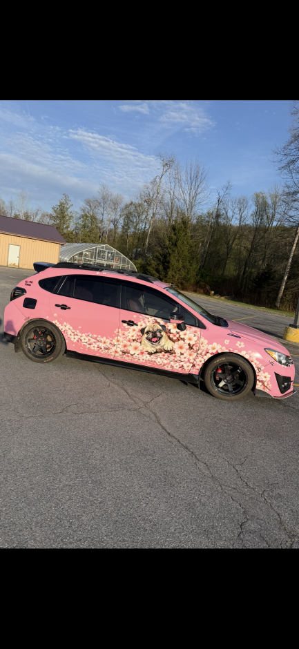 Taylor  Sutryk's 2015 Impreza 2.0i Sport Limited