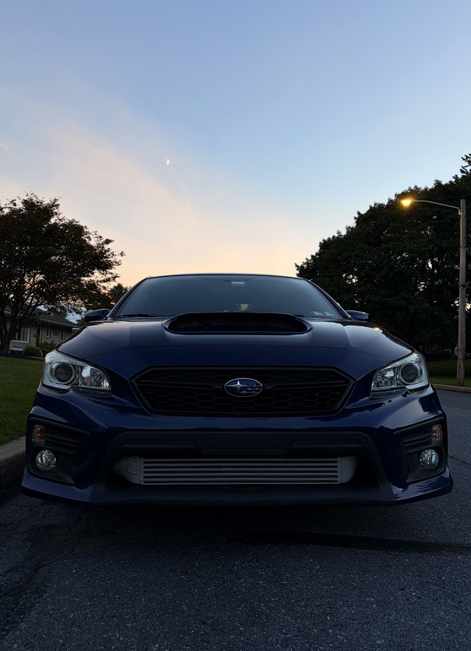 Elizabeth R's 2020 WRX Premium