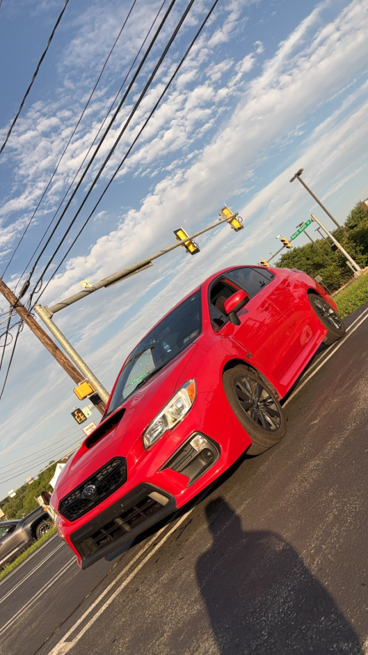 Peter B's 2019 Other 2.0 base wrx