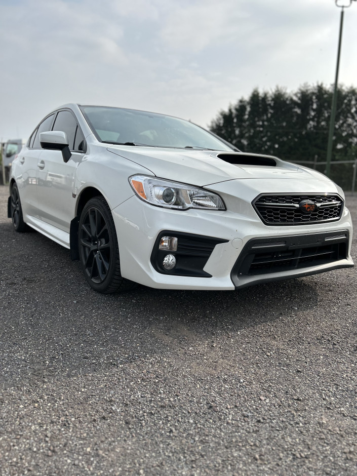 Catherine P's 2021 Impreza WRX Premium