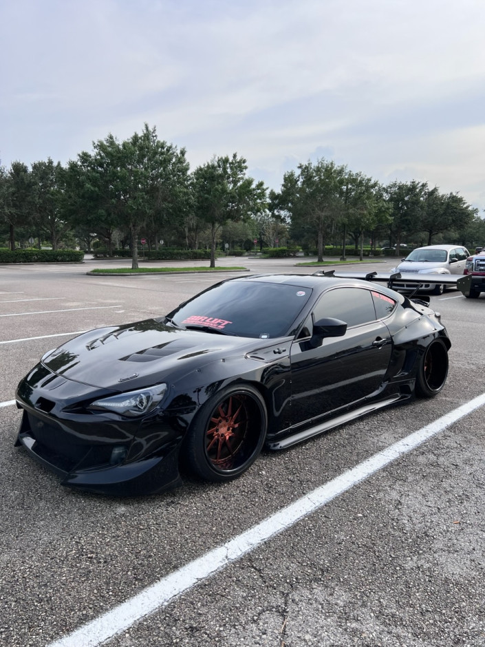 Sara L's 2015 Other FRS