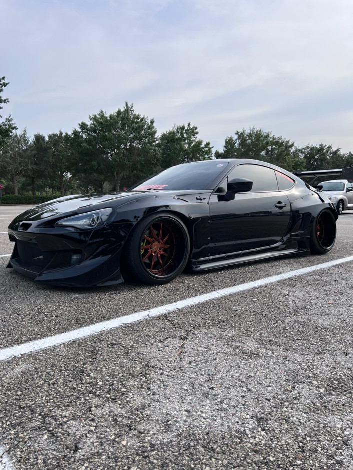 Sara L's 2015 Other FRS