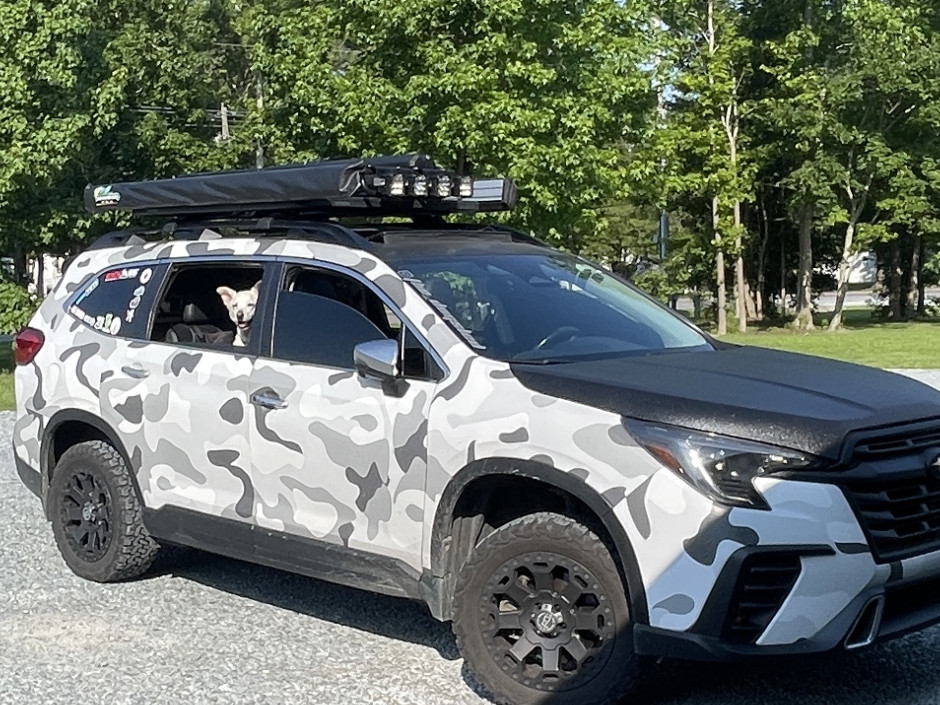 Tom G's 2023 Ascent Touring