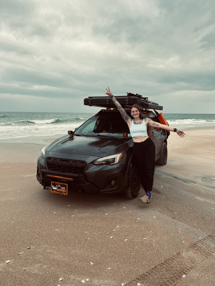 Regan D's 2018 Crosstrek Limited 