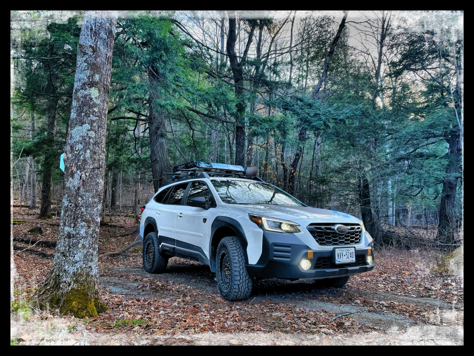 Walter Cheney's 2022 Outback Wilderness 2.4 Turbo