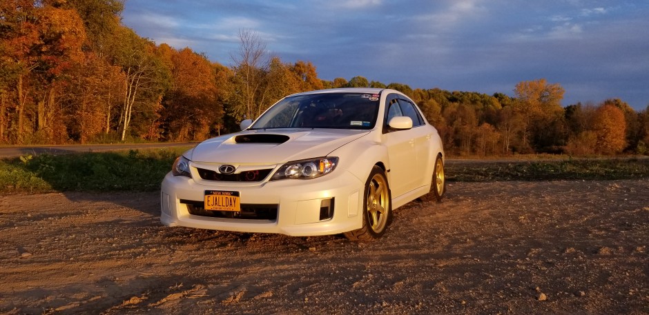 Dan H's 2011 Impreza WRX