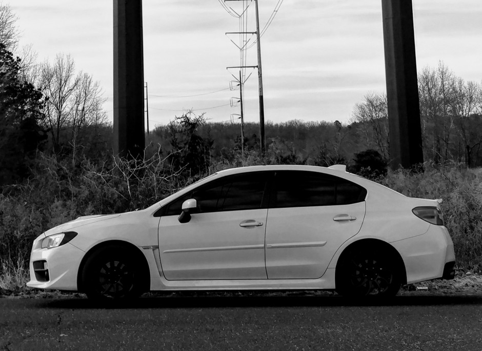 Dana Z's 2017 WRX Premium
