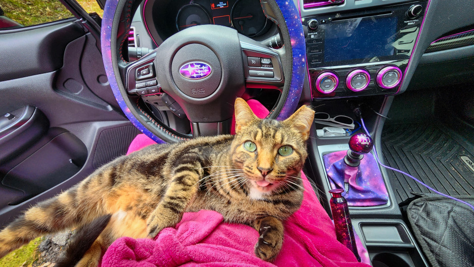 Lee Bouvier's 2021 Impreza WRX Premium