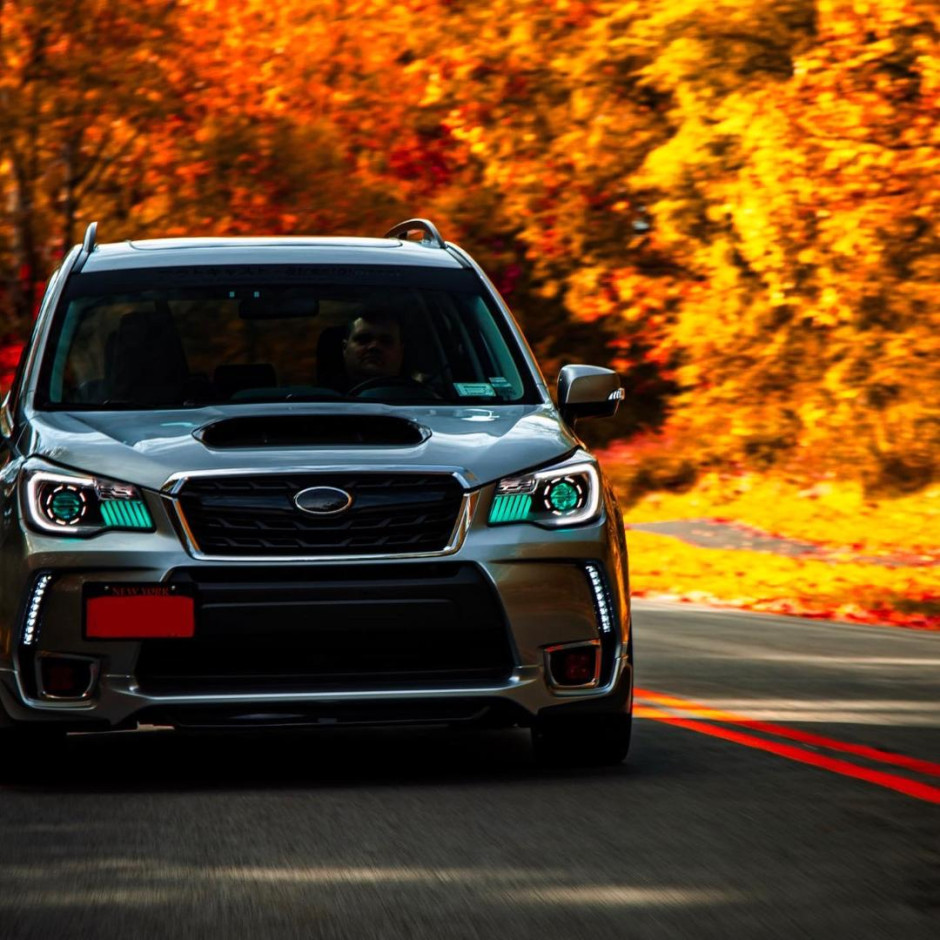 Paul M's 2017 Forester XT Premium