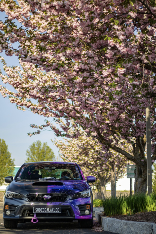 Lee Bouvier's 2021 Impreza WRX Premium