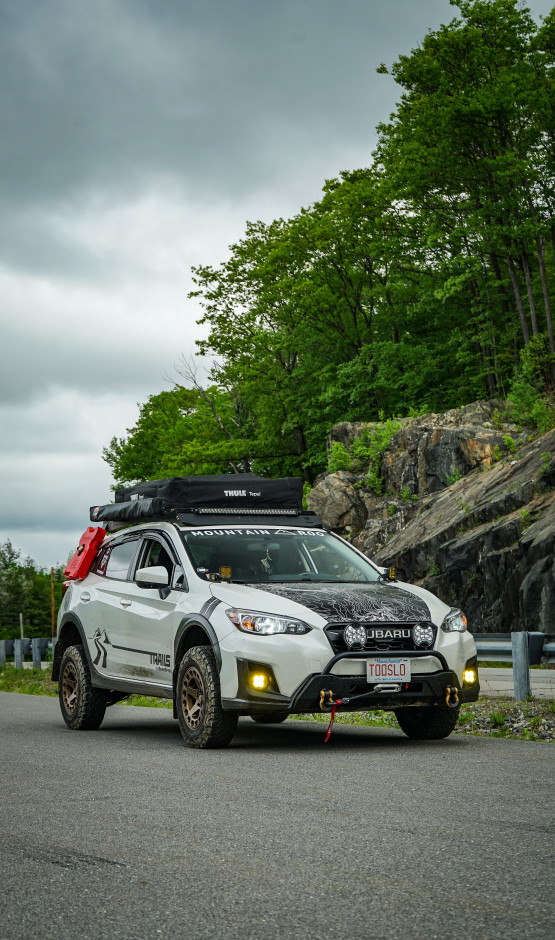 Brendan M's 2019 Crosstrek Premium
