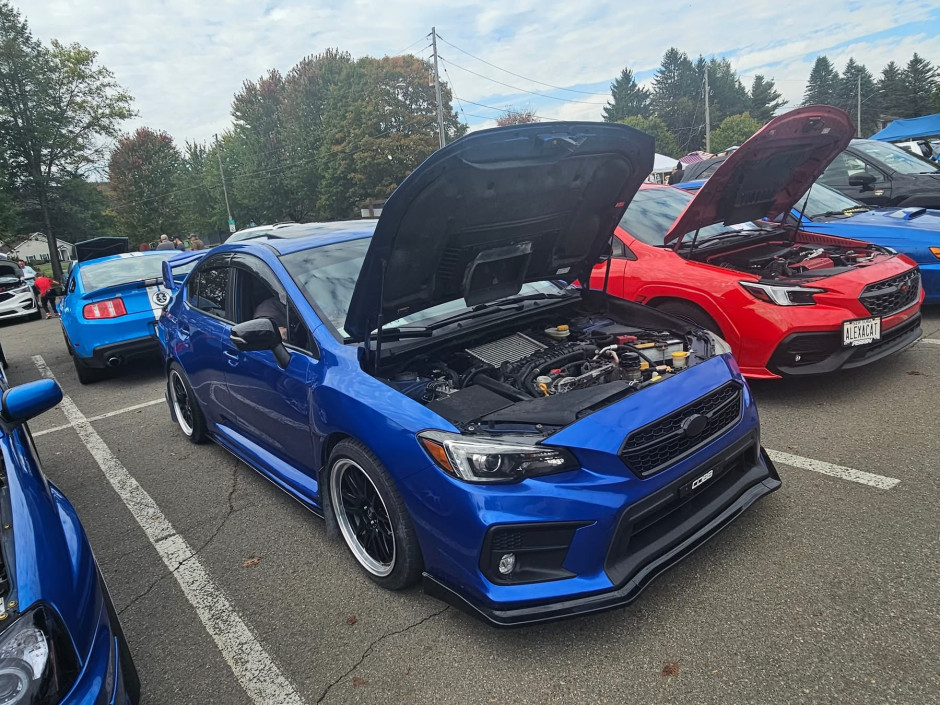 Andrew Ingison 's 2018 WRX Limited 