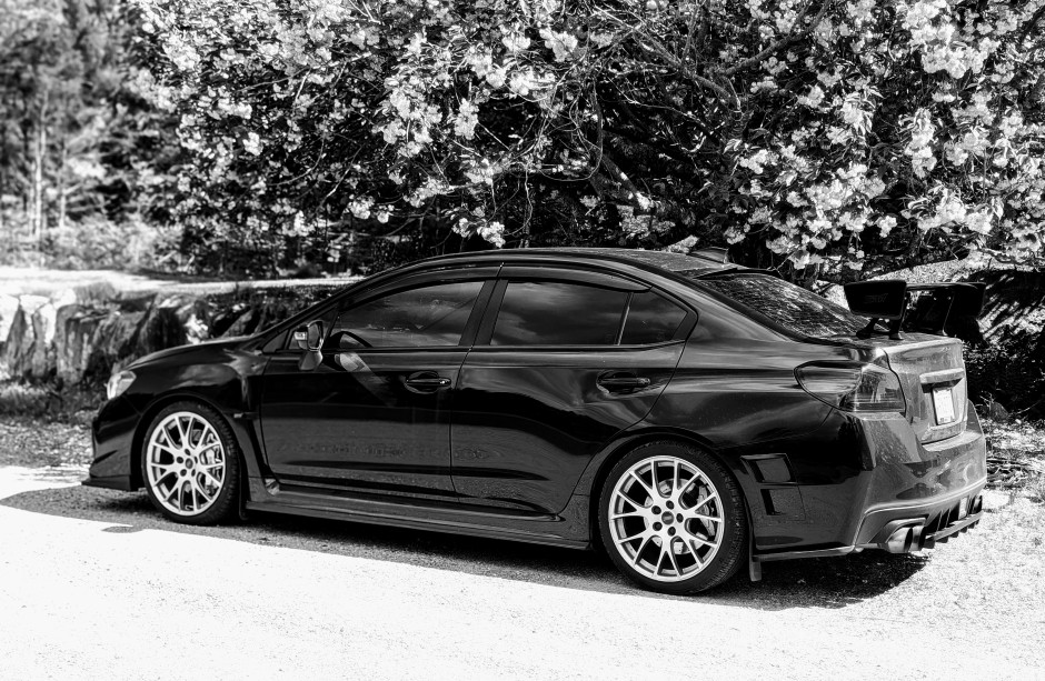 Michael Dagenais's 2018 Impreza WRX STI Type RA
