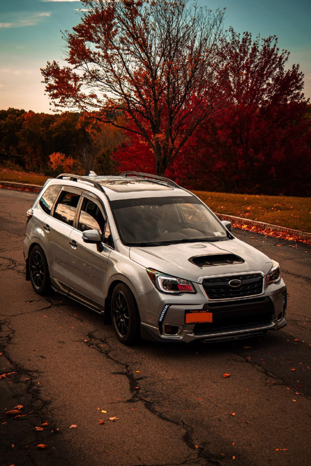 Paul M's 2017 Forester XT Premium