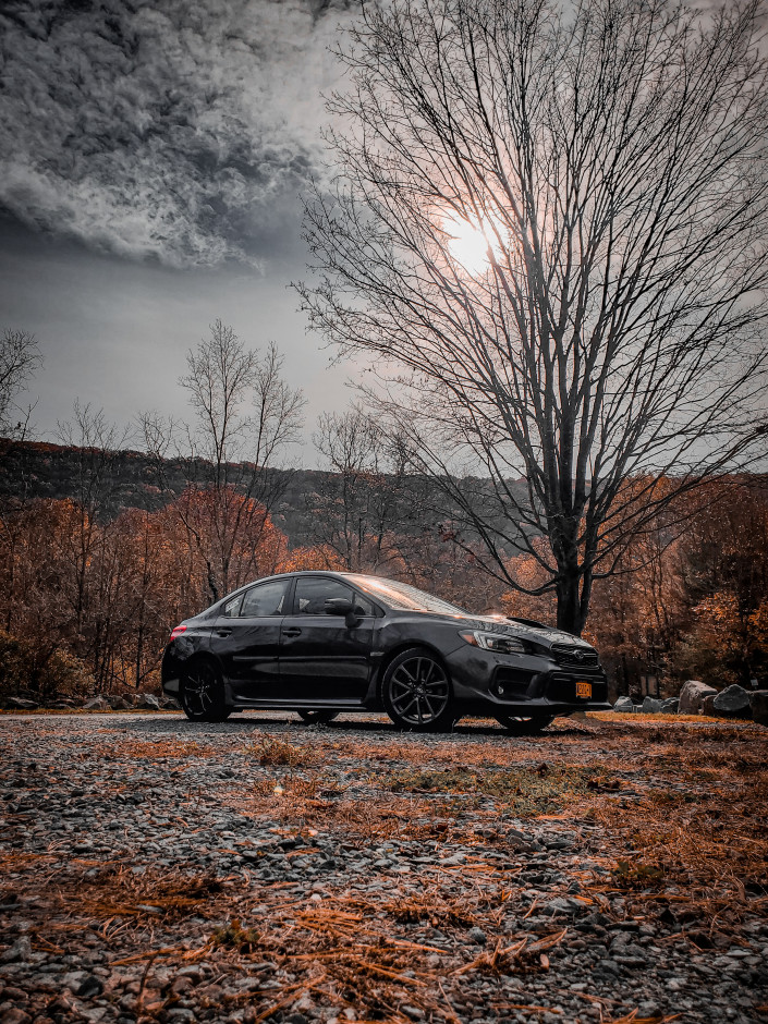 Ana S's 2018 WRX Limited