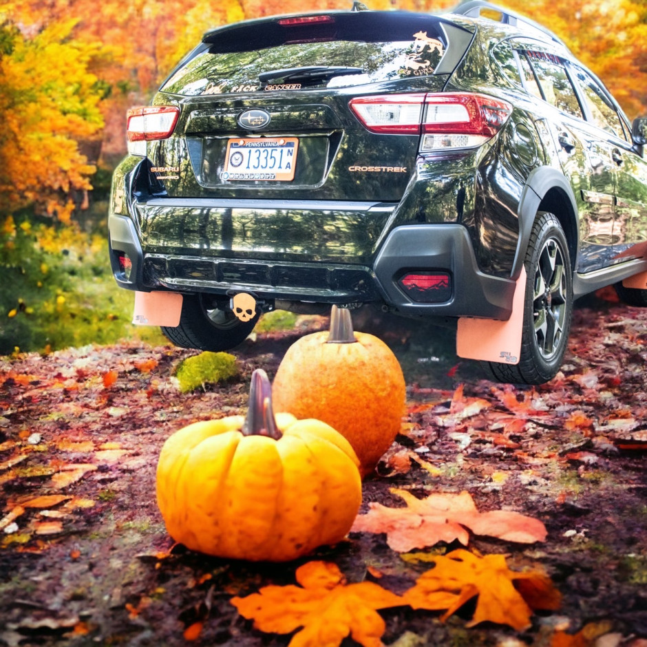 michele L's 2018 Crosstrek Premium 